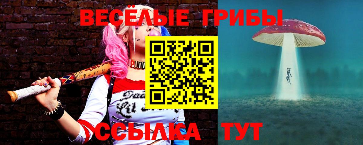 Псилоцибиновые грибы Psilocybe  Вход с VPN  Урюпинск 